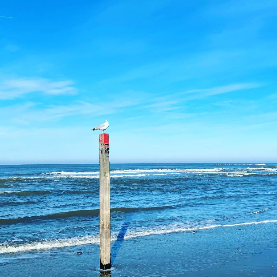 Hotel Zeerust Texel De Koog  Kültér fotó
